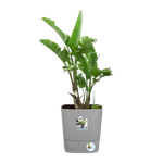 greensense aqua care square 38cm light concrete